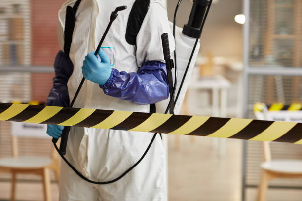 Professional Sewage Cleanup technician working in Leonia, NJ